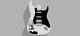 3d Printed Fender Stratocaster Guitar Body, Custom Design Frieren Pattern