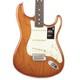 Fender American Performer Stratocaster Rosewood Honeyburst