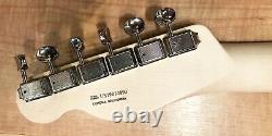 Fender American Performer Telecaster Electric Guitar Penny