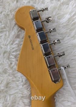 Fender American Professional Classic Stratocaster, Faded Dakota Red with Gig Bag