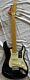 Fender American Professional Ii Stratocaster Black Electric Guitar Withcase Demo