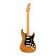 Fender American Professional Ii Stratocaster Electric Guitar Roasted Pine