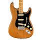 Fender American Professional Ii Stratocaster Maple Roasted Pine