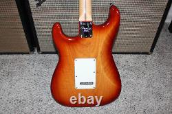 Fender American Professional Stratocaster Sienna Rosewood SSS