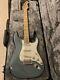 Fender American Professional Stratocaster Sonic Gray Withmaple Fingerboard