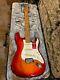 Fender American Professional Stratocaster Roasted Maple Neck