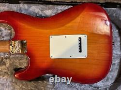 Fender American professional stratocaster Roasted Maple Neck