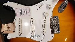 Fender Japan Loaded Stratocaster Body