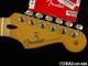 Fender Player Ii Series Stratocaster Series Strat, Neck &nd Tuners, Maple