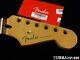 Fender Player Plus Series Stratocaster Strat, Neck, Modern C Shaped Pau Ferro