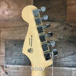 Fender Player Stratocaster Silver with Pau Ferro, NEW IN BOX, Free Ship, 087