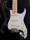 Fender Player Stratocaster With Noiseless Pickups