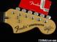 Fender Ritchie Blackmore Scalloped Strat, Neck & Tuners, Stratocaster Rosewood