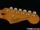Fender Squier Classic Vibe 50s Stratocaster Strat Neck + Tuners, Maple