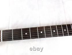 Fender Stratocaster Steele Guitars Black Paisley Flame Maple Neck SSS