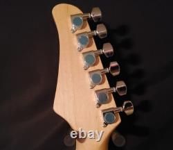 NEW IN BOX? S Style Electric Guitar +Soft Case +Whammy +Strap +Pick