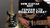 New Guitar Day Fender Poblano Stratocaster