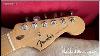 Nueva Fender Standard Stratocaster Made In Indonesia