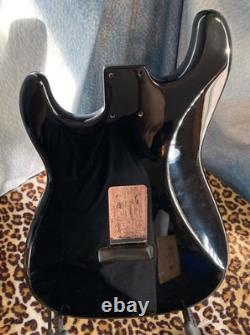 Paisley Stratocaster Replacement HSH Alder Body Shielded Cavity