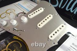 Silver Beatle Loaded Fender Stratocaster Pickguard with NAMM Select pickups