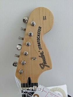 Tom Delonge Fender Stratocaster (Surf Green) Blink 182 autographed by all member