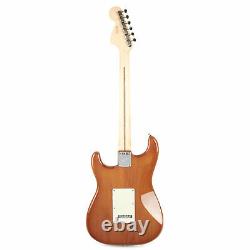 Fender American Performer Stratocaster Rosewood Honeyburst