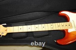 Fender American Pro Stratocaster HSS ShawBucker Sienna Sunburst de 2018 NMMT