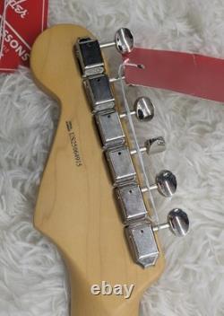 Fender American Professional Classic Stratocaster, Finition Noir Foncé avec Housse de Transport