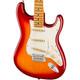 Fender Player Ii Stratocaster Avec Touche En érable, Aged Cherry Burst