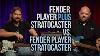 Fender Player Plus Stratocaster Vs Fender Player Series Stratocaster Vaut Le Coup
