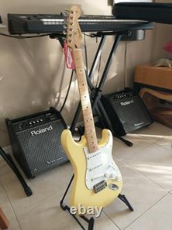 Fender Player Stratocaster en parfait état