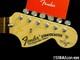 Usa Fender Yngwie Malmsteen Stratocaster Manche + M&eacute;caniques Strat, Palissandre Scallop&eacute;